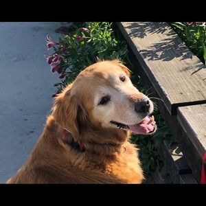 Meet your Posher, Leslie